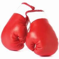 101 - Gloves / Red / 12 Oz